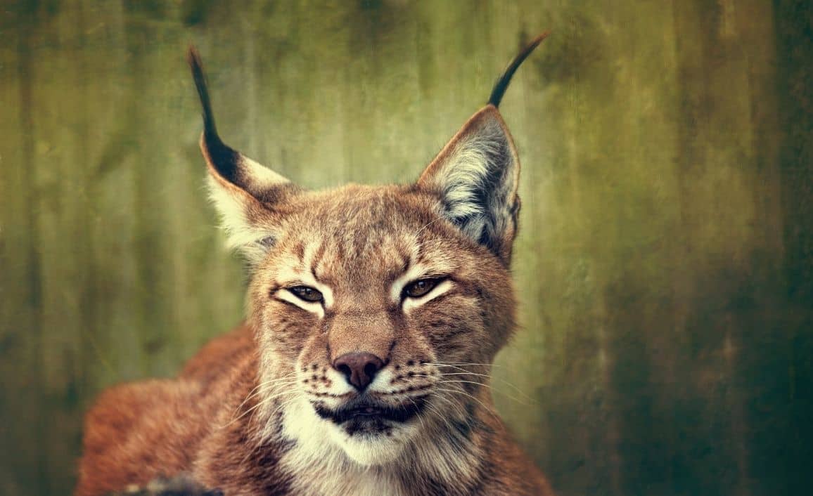 camping near pornic family activities