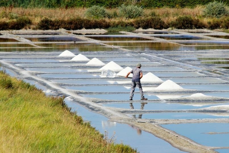visite des marais salants